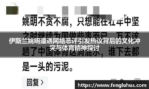 伊斯兰姚明遭遇网络恶评引发热议背后的文化冲突与体育精神探讨
